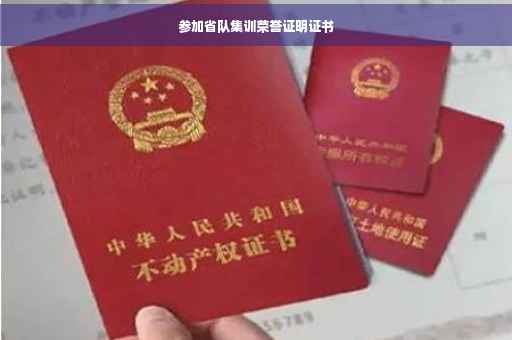 参加省队集训荣誉证明证书