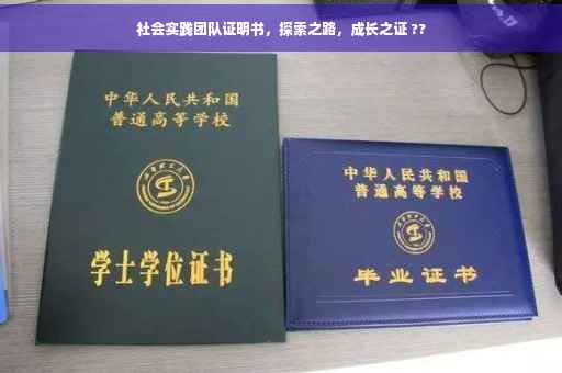 社会实践团队证明书，探索之路，成长之证 ??