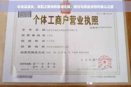 毕业证丢失，求职之路依然畅通无阻，经历与挑战并存的奋斗之旅