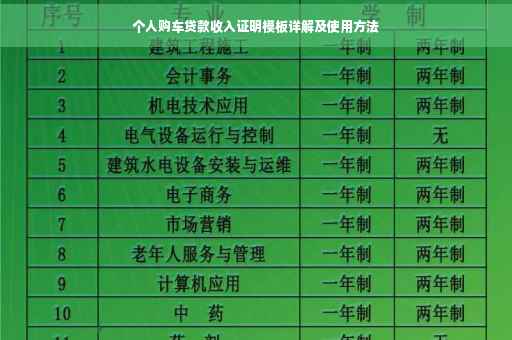 个人购车贷款收入证明模板详解及使用方法