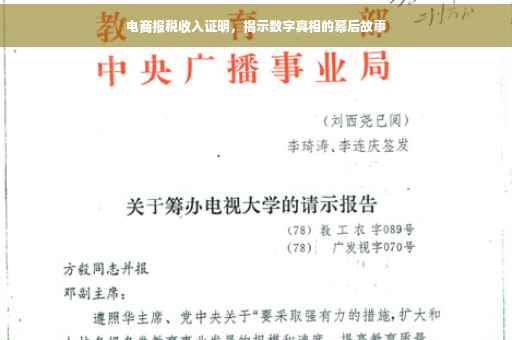 电商报税收入证明，揭示数字真相的幕后故事