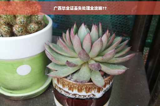 广西毕业证丢失处理全攻略??