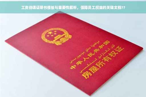 工资待遇证明书模板与重要性解析，保障员工权益的关键文档??