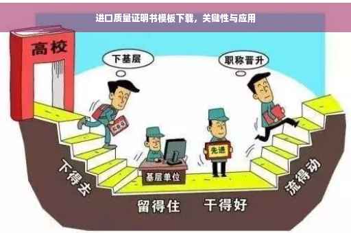 进口质量证明书模板下载，关键性与应用