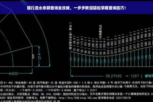 银行流水余额查询全攻略，一步步教你轻松掌握查询技巧！