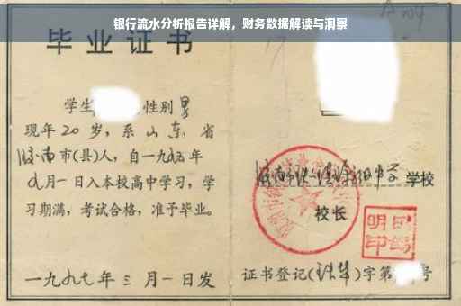 银行流水分析报告详解，财务数据解读与洞察