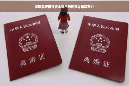 深度解析银行流水费用用途及操作指南??