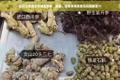 银行工资流水办理全攻略，流程、注意事项及常见问题解答??