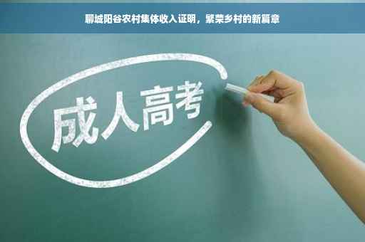 聊城阳谷农村集体收入证明，繁荣乡村的新篇章