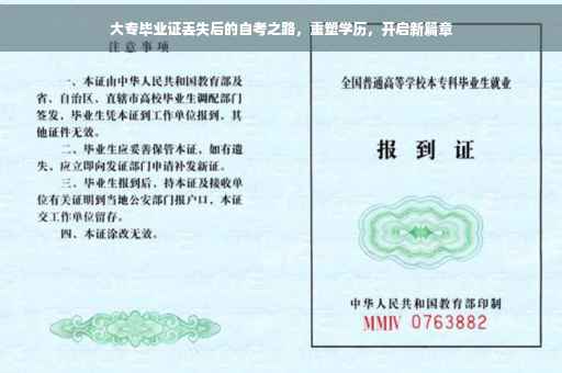 大专毕业证丢失后的自考之路，重塑学历，开启新篇章