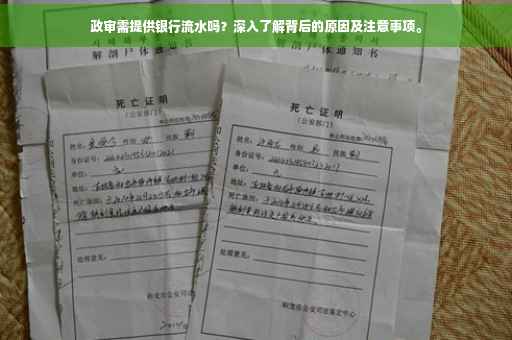 政审需提供银行流水吗？深入了解背后的原因及注意事项。