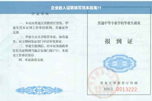 企业收入证明填写范本指南??