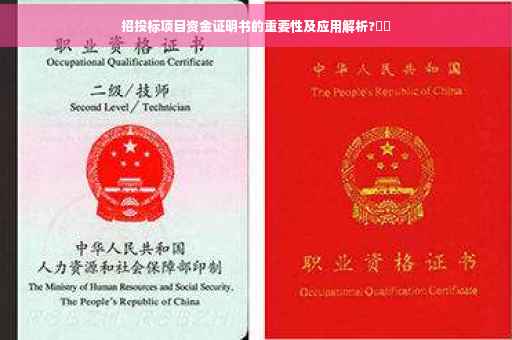 招投标项目资金证明书的重要性及应用解析?⚡️ 招投标项目资金证明书的重要性及应用解析?⚡️