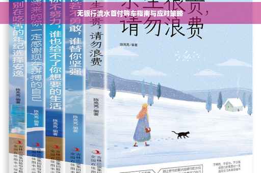 无银行流水首付购车指南与应对策略