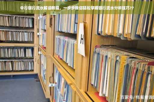 中行银行流水解读教程，一步步教你轻松掌握银行流水分析技巧??