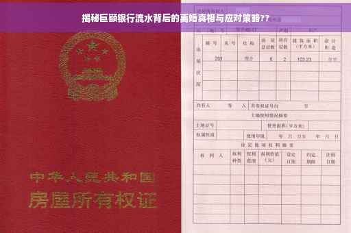 揭秘巨额银行流水背后的离婚真相与应对策略??