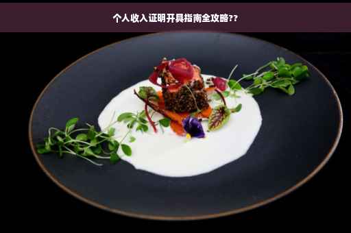个人收入证明开具指南全攻略??