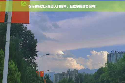 银行转账流水解读入门指南，轻松掌握财务细节！