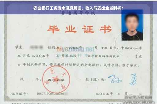 农业银行工资流水深度解读，收入与支出全景剖析?