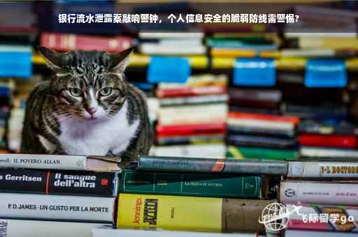银行流水泄露案敲响警钟，个人信息安全的脆弱防线需警惕?