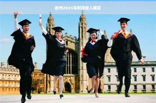 徐州2005年财政收入概览