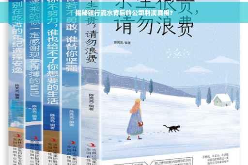 揭秘银行流水背后的公司利润真相?