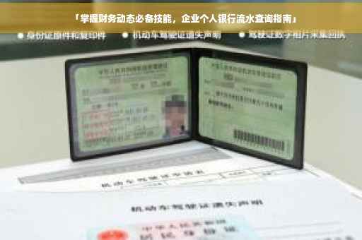 「掌握财务动态必备技能，企业个人银行流水查询指南」