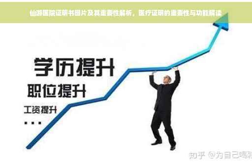 仙游医院证明书图片及其重要性解析，医疗证明的重要性与功能解读