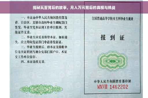 揭秘高薪背后的故事，月入万元背后的真相与挑战