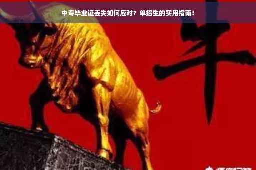中专毕业证丢失如何应对？单招生的实用指南！
