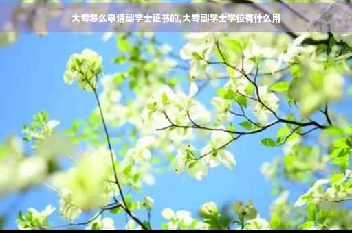 大专怎么申请副学士证书的,大专副学士学位有什么用