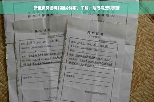 新型肺炎证明书图片详解，了解、防范与应对策略