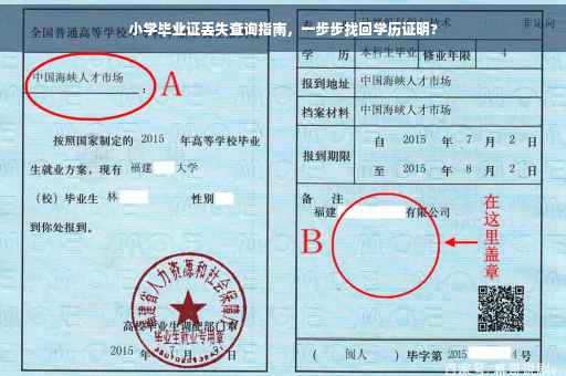 小学毕业证丢失查询指南，一步步找回学历证明?