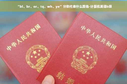 “bl、br、or、tq、wh、ye”分别代表什么颜色-计算机英语b级