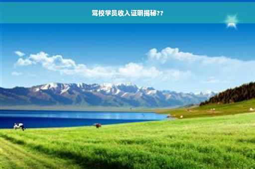 驾校学员收入证明揭秘??