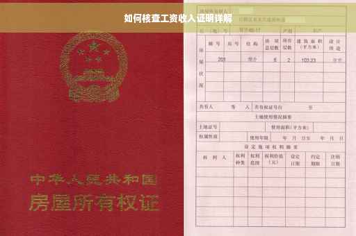 如何核查工资收入证明详解
