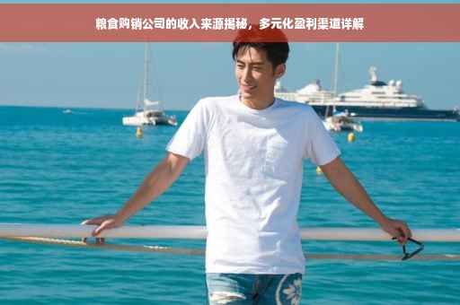 粮食购销公司的收入来源揭秘，多元化盈利渠道详解