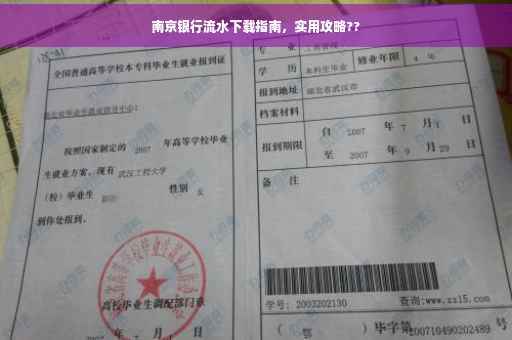 南京银行流水下载指南，实用攻略??