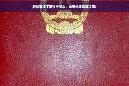 轻松查询工资银行流水，详细步骤解析指南?