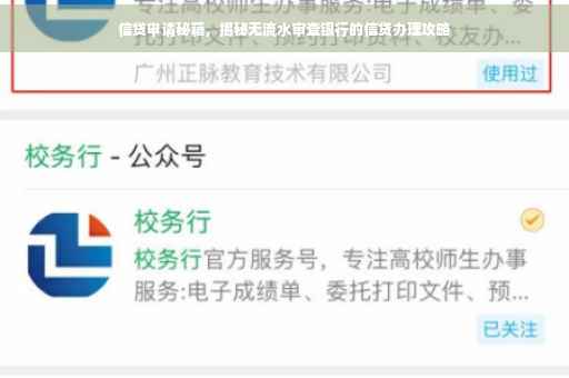 信贷申请秘籍，揭秘无流水审查银行的信贷办理攻略