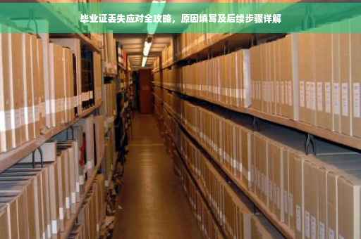 毕业证丢失应对全攻略，原因填写及后续步骤详解