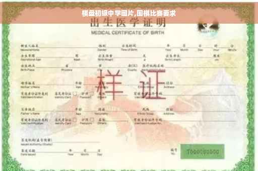 棋盘初级中学图片,围棋比赛要求