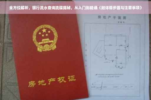 全方位解析，银行流水查询流程揭秘，从入门到精通（附详细步骤与注意事项）