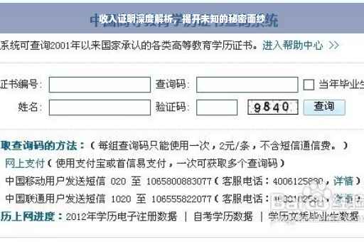 收入证明深度解析，揭开未知的秘密面纱