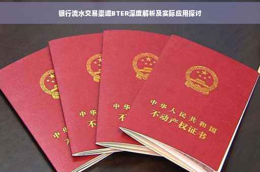 银行流水交易渠道BTER深度解析及实际应用探讨