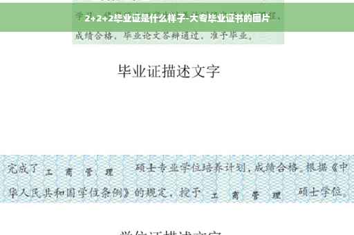 2+2+2毕业证是什么样子-大专毕业证书的图片
