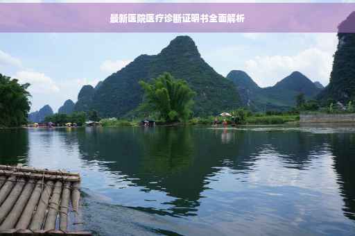 最新医院医疗诊断证明书全面解析