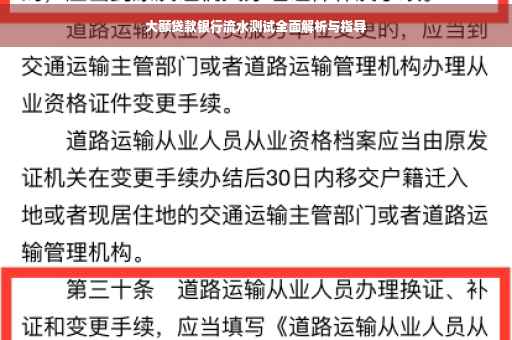 大额贷款银行流水测试全面解析与指导