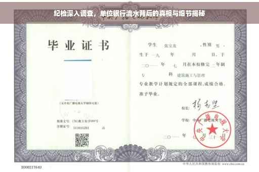 纪检深入调查，单位银行流水背后的真相与细节揭秘