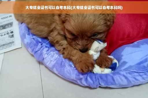 大专结业证书可以自考本科(大专结业证书可以自考本科吗)